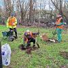 tree week planting