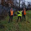 3 volunteers