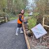 Cheerfull planting