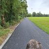 New width